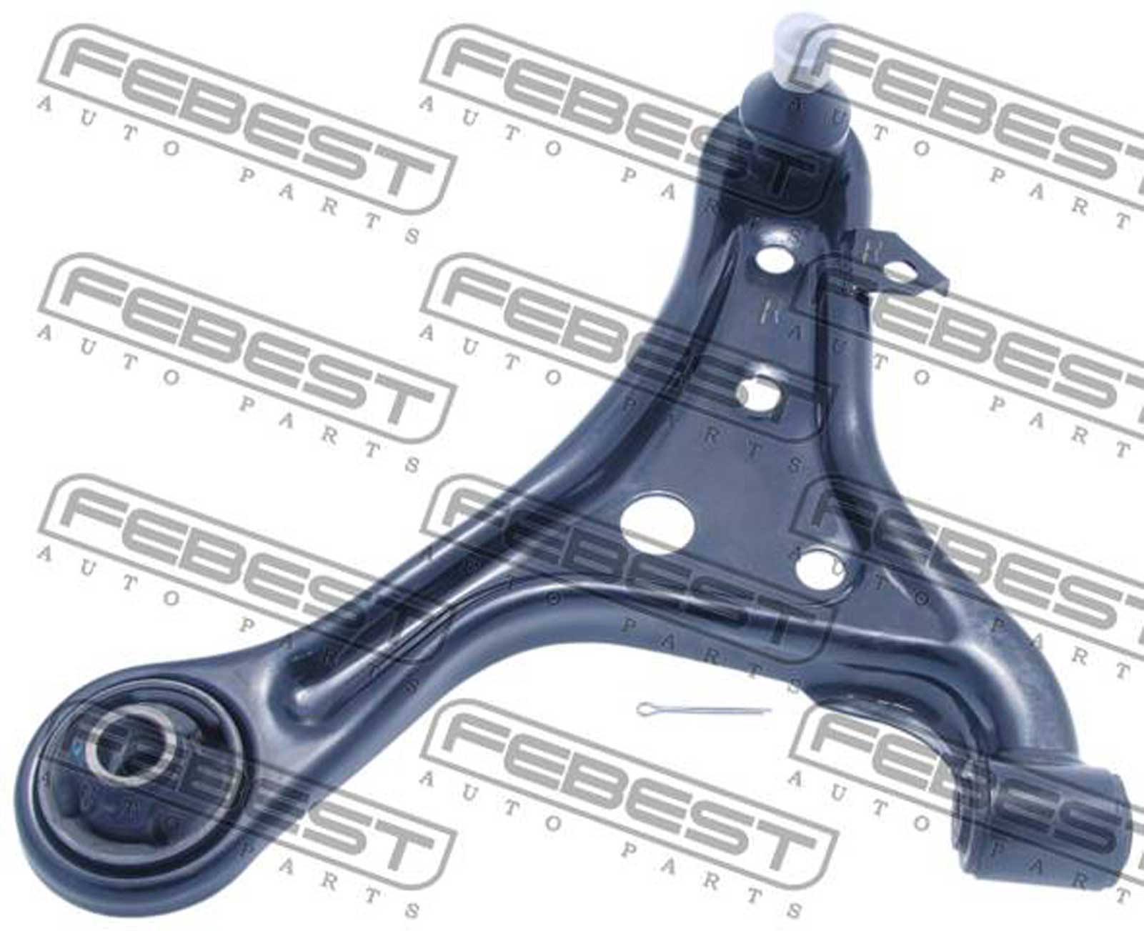 Right Lower Front Arm