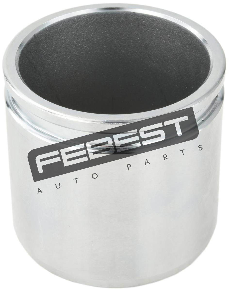 Rear Caliper Piston D48.1