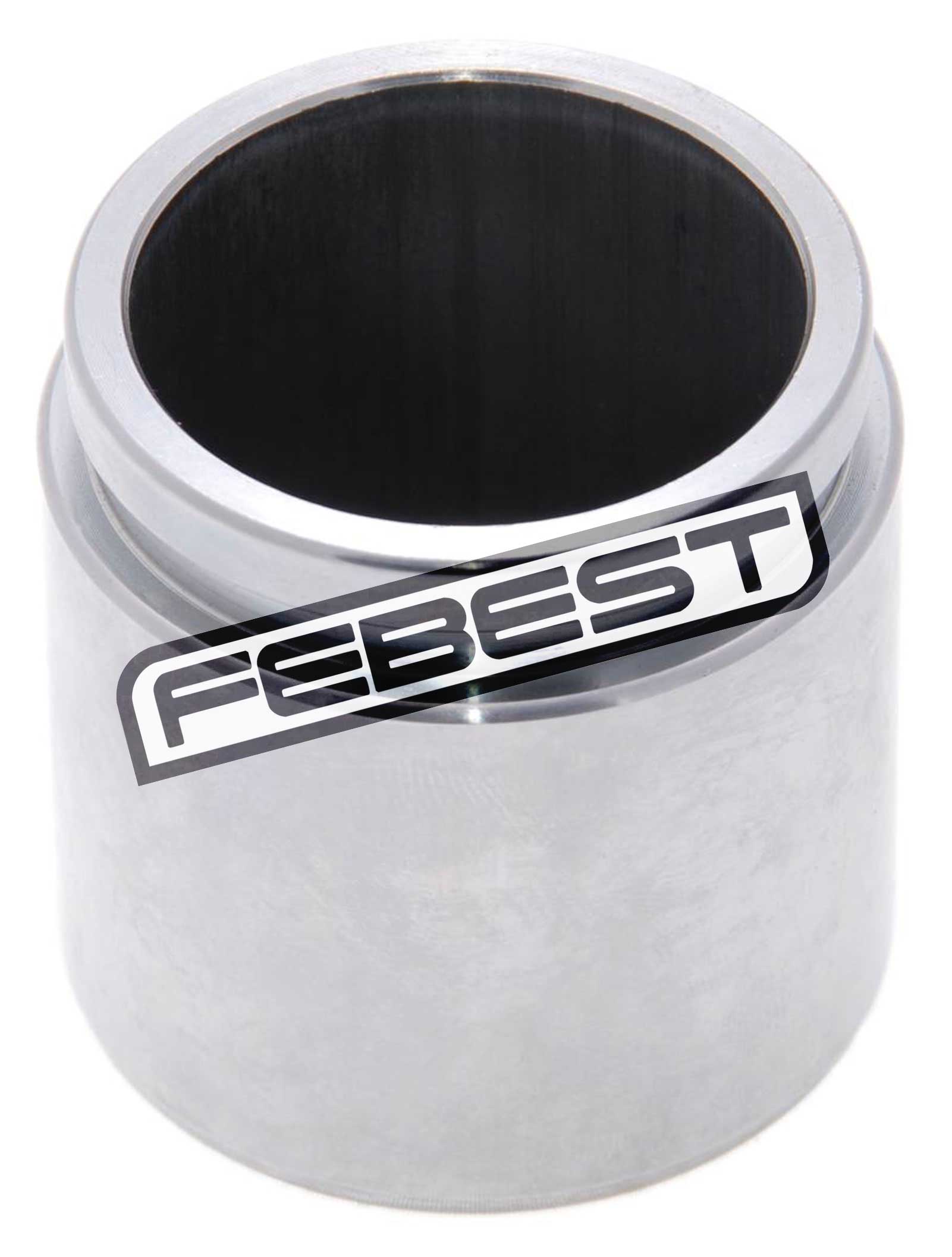 Rear Caliper Piston D48