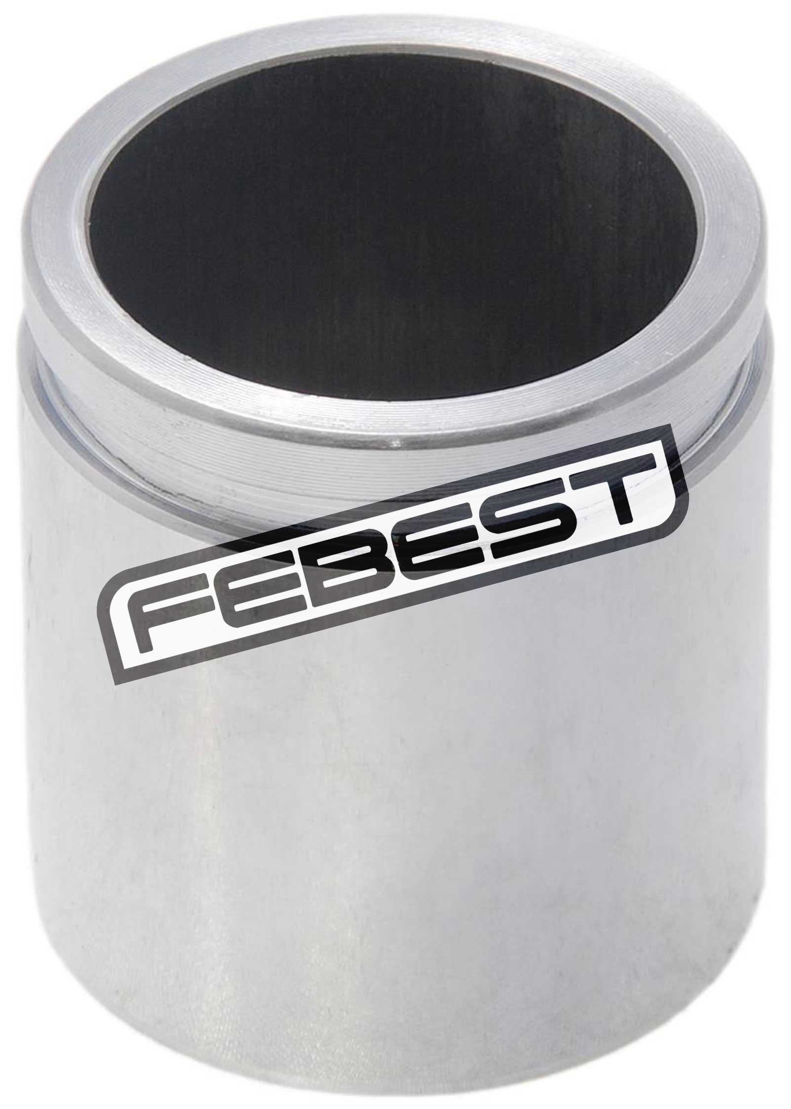 Front Caliper Piston D48