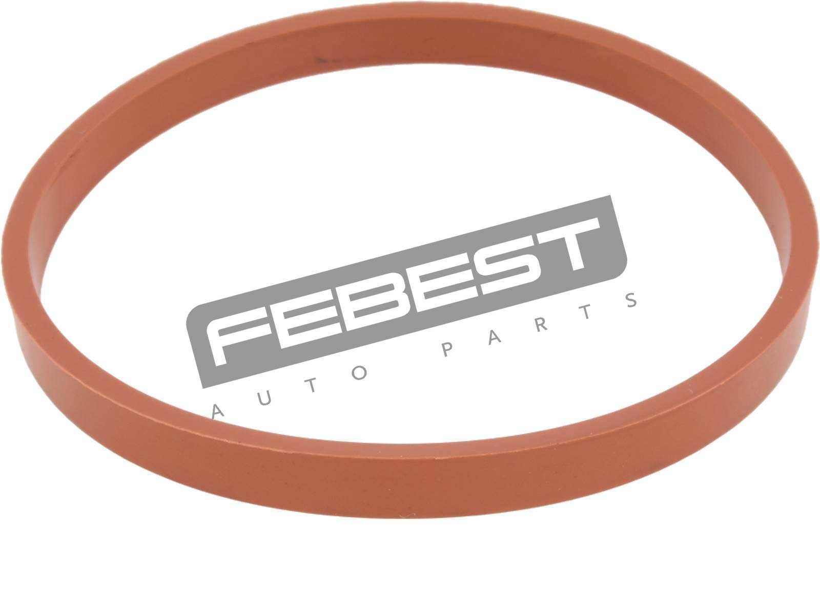 Throttle Body O-Ring