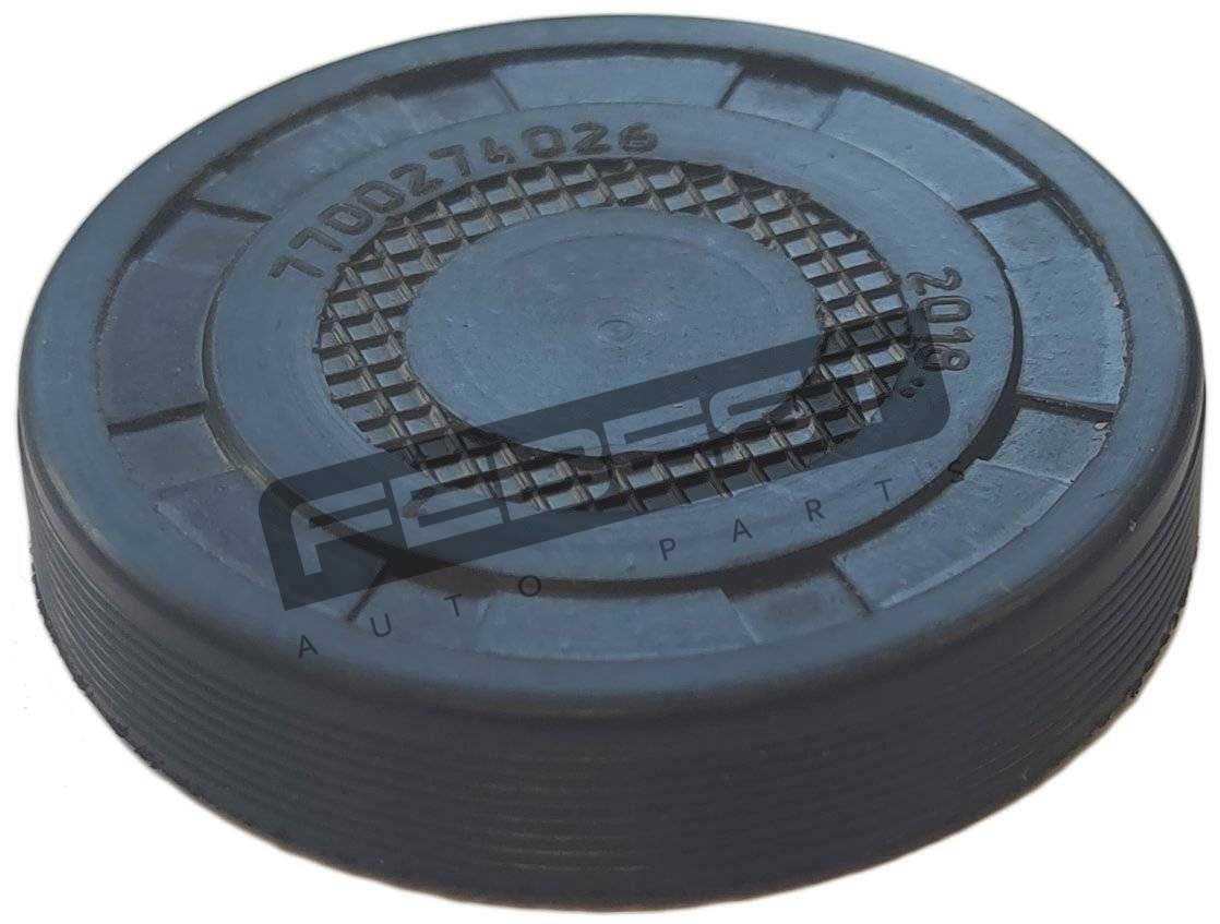 Camshaft Plug