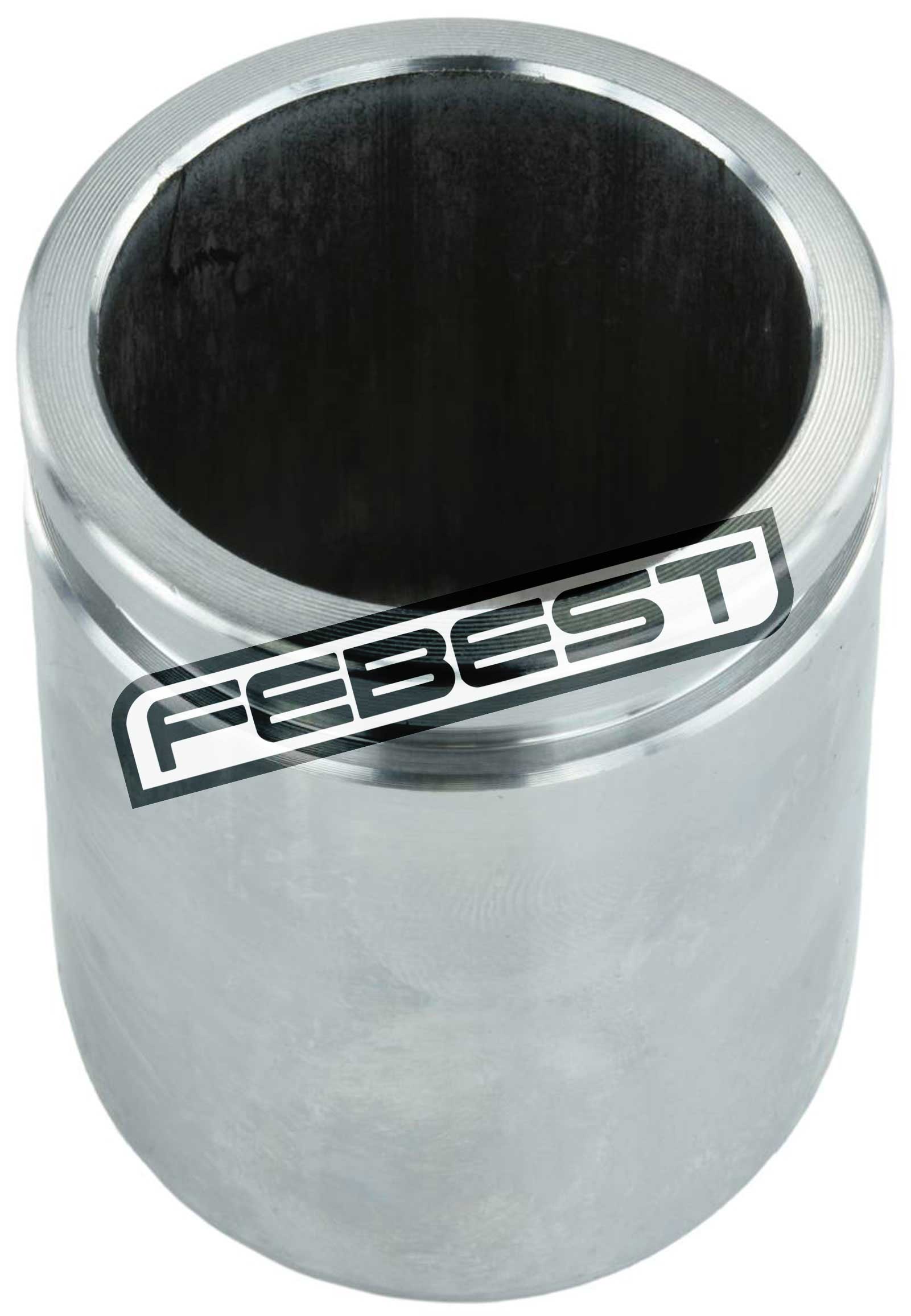 Front Caliper Piston D48