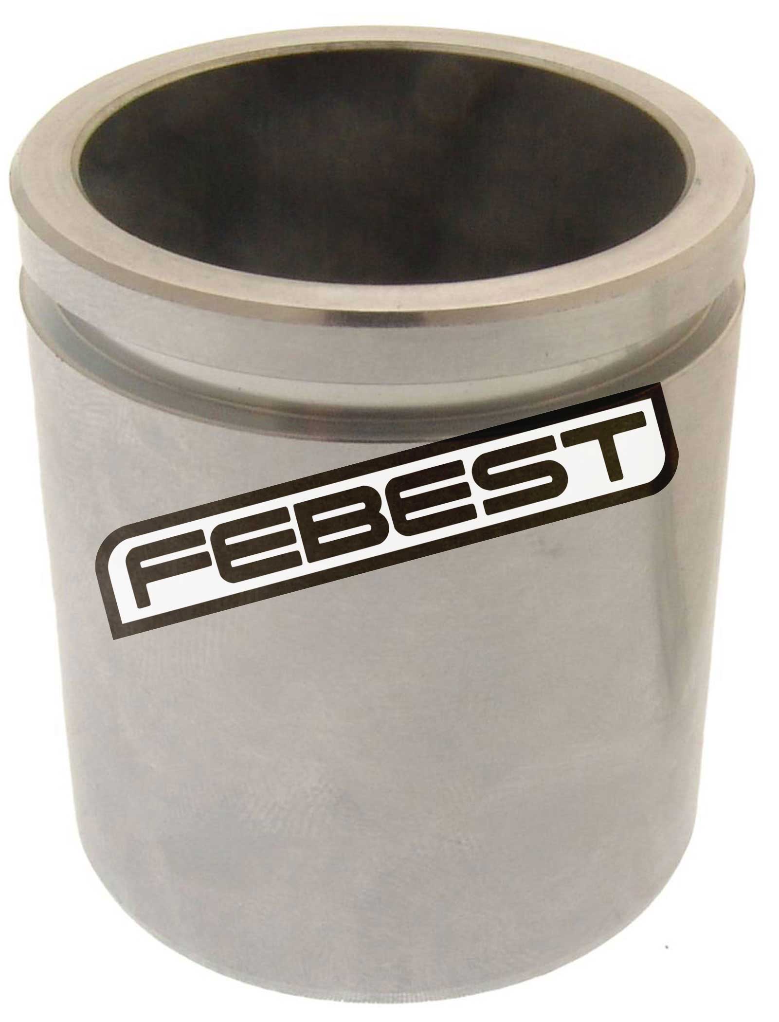 Front Caliper Piston D48.1