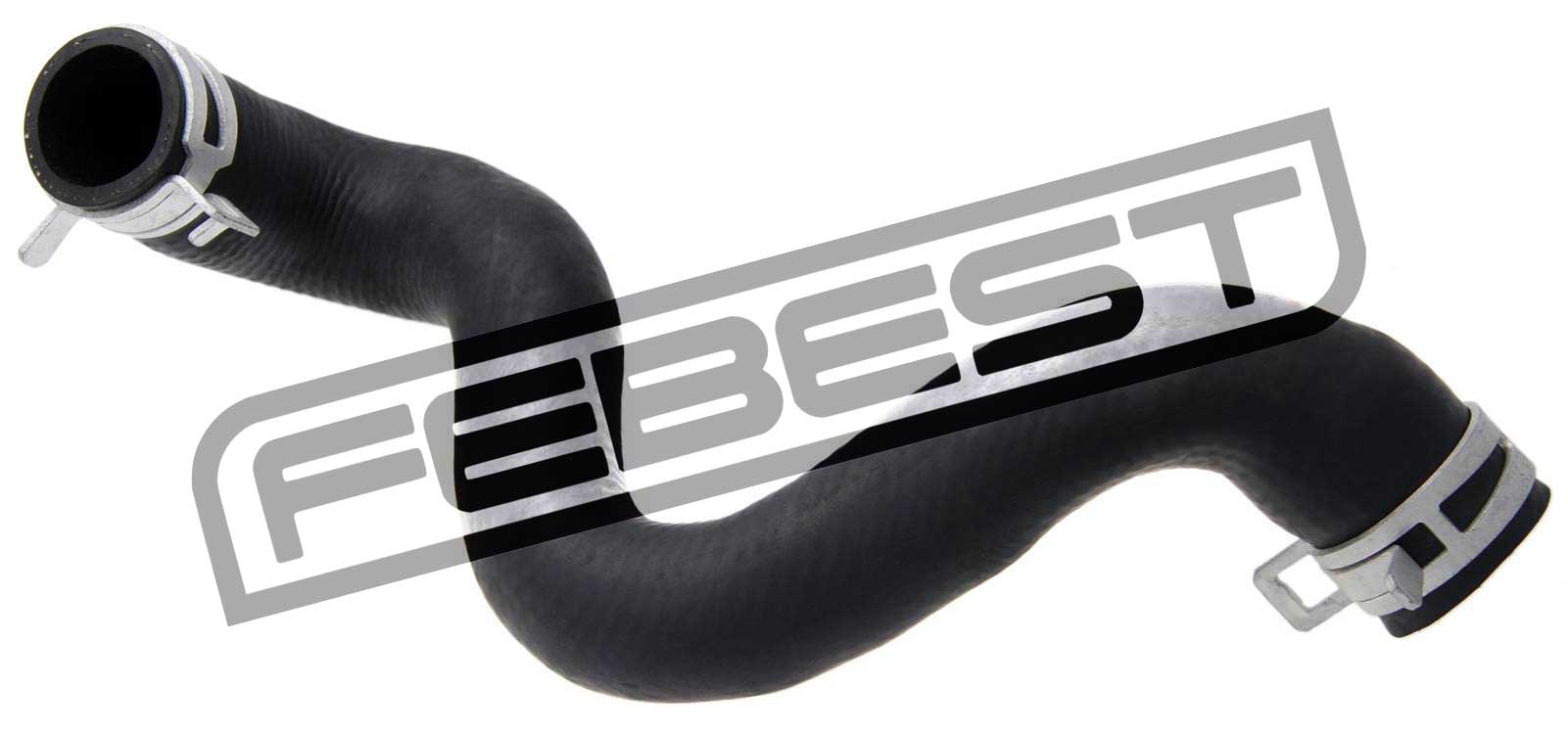 Radiator Hose