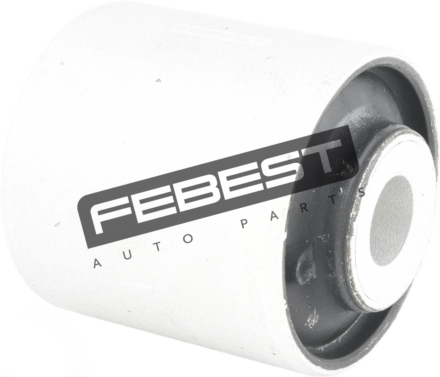 Bushing, Rear Lower Control Arm
