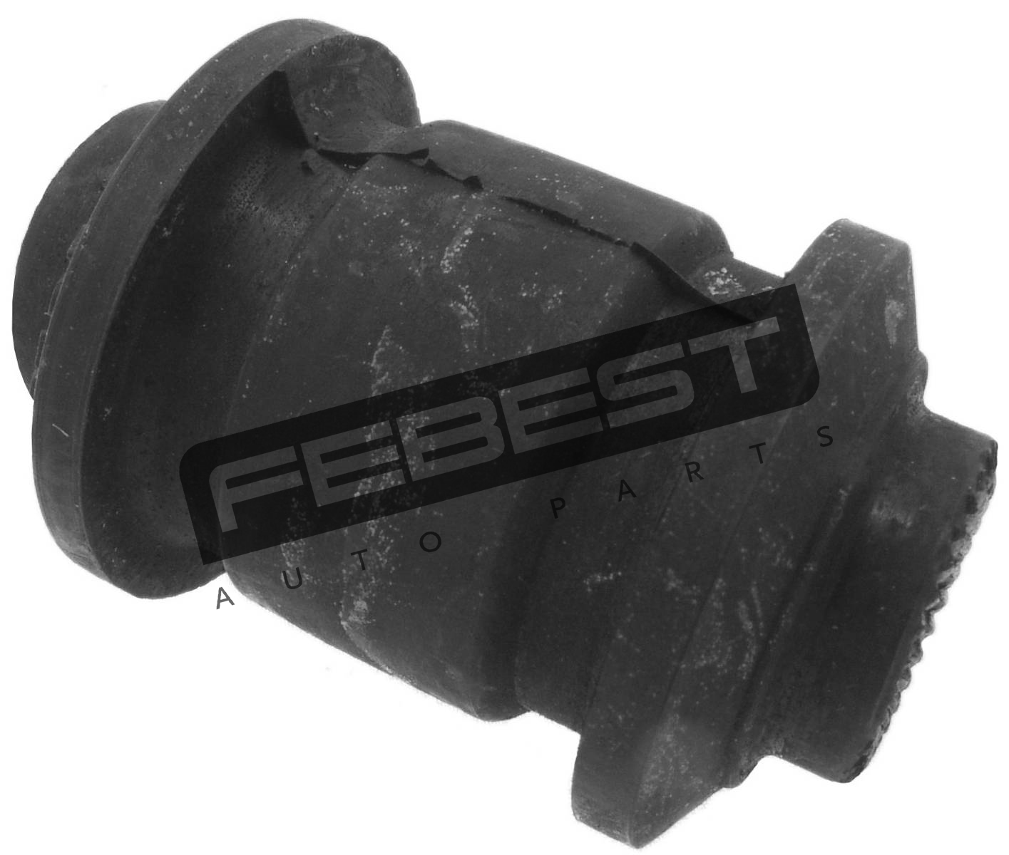 Bushing, Rear Trailing Arm