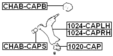 Febest 1024-CAPRH Technical Schematic