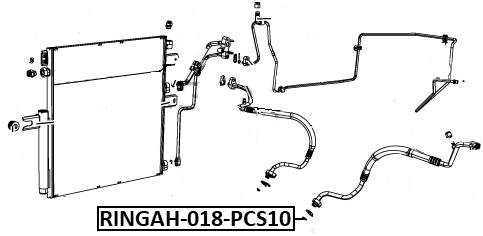 DODGE RINGAH-018-PCS10 Technical Schematic