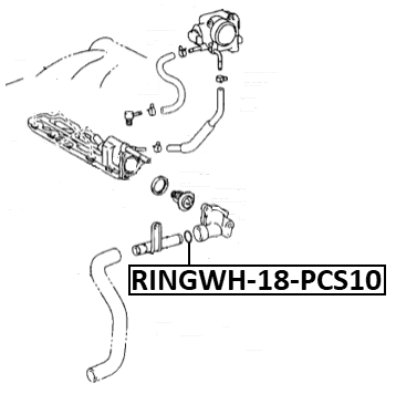 RINGWH-018-PCS10_LEXUS Technical Schematic