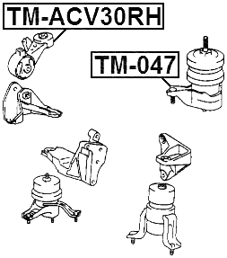 Febest TM-ACV30RH Technical Schematic