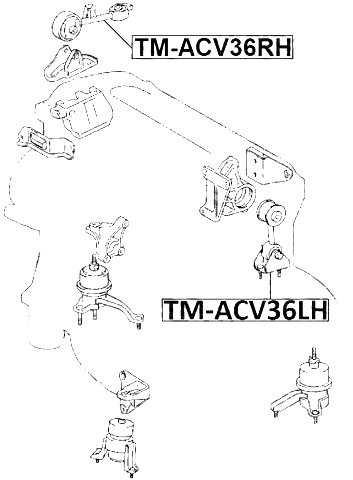 TOYOTA TM-ACV36LH Technical Schematic